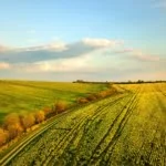 Equestrian Land