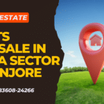 6 Marla Plot For Sale Huda Sector 30 Pinjore