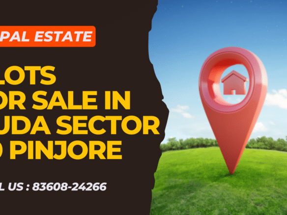 6 Marla Plot For Sale Huda Sector 30 Pinjore