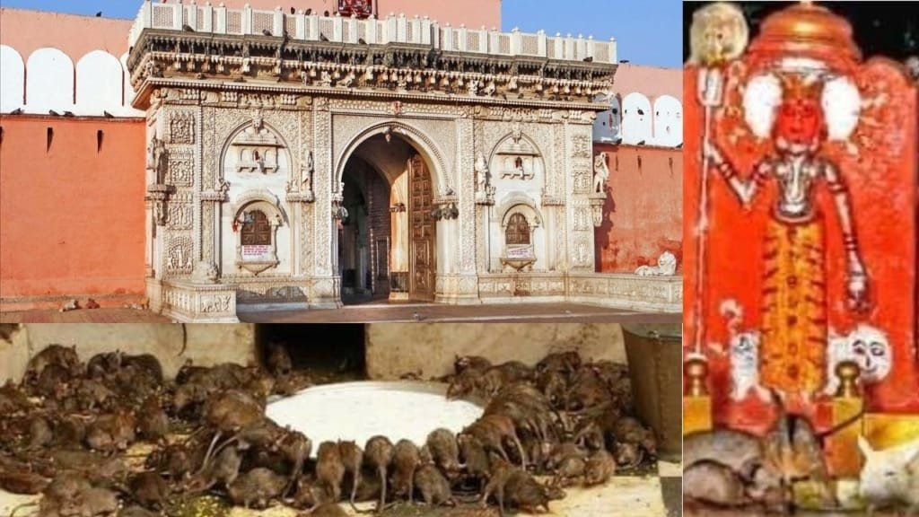 KARNI MATA MANDIR BIKANER